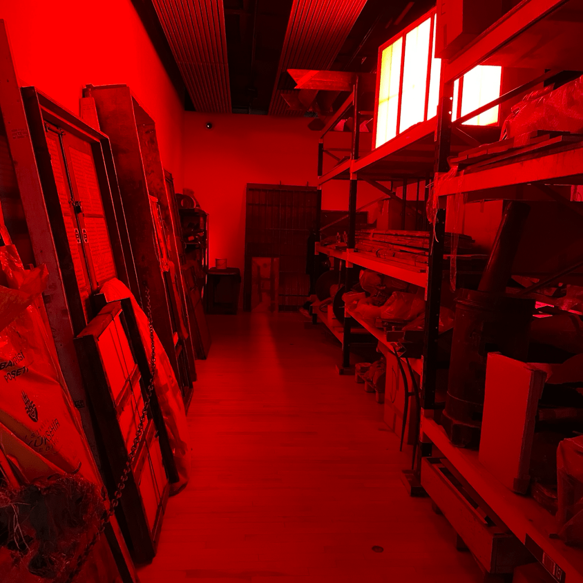 ‘I, Imposter’ (2011) - detail
