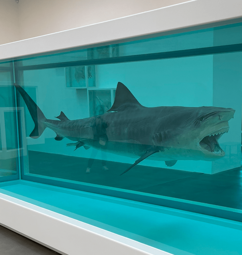 damien hirst shark decay