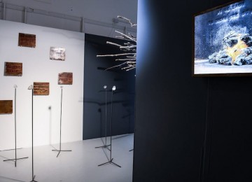 It Is Easy To Break One Stick - Installation 01